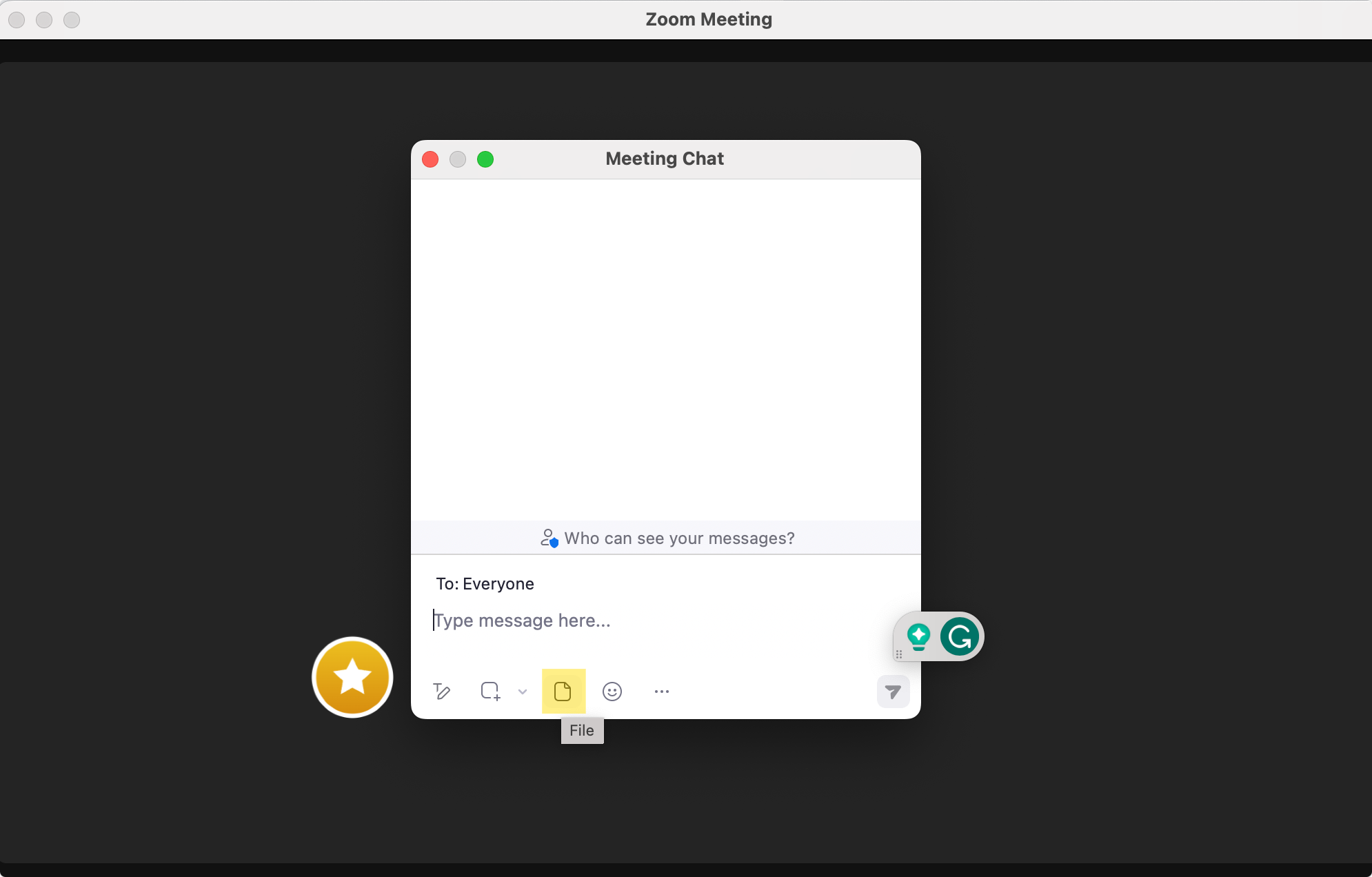 Zoom video call meeting showing document upload and sharing