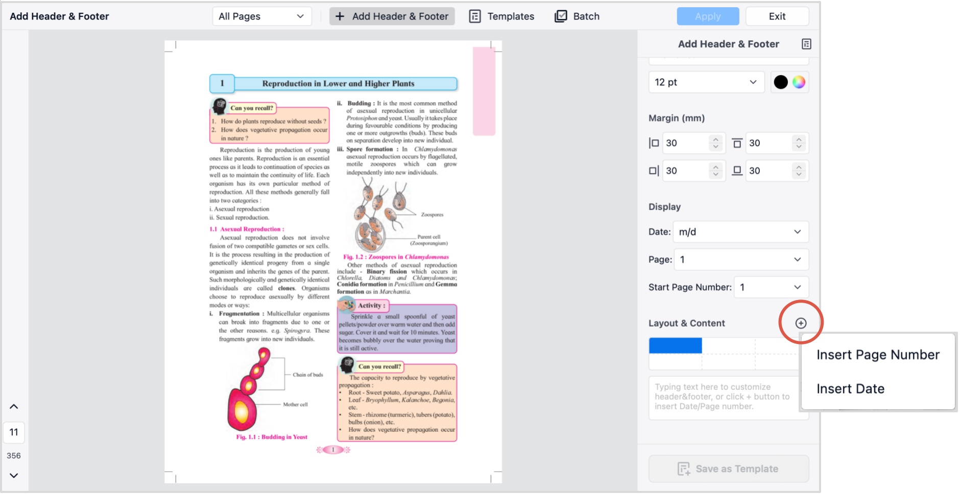add page number
