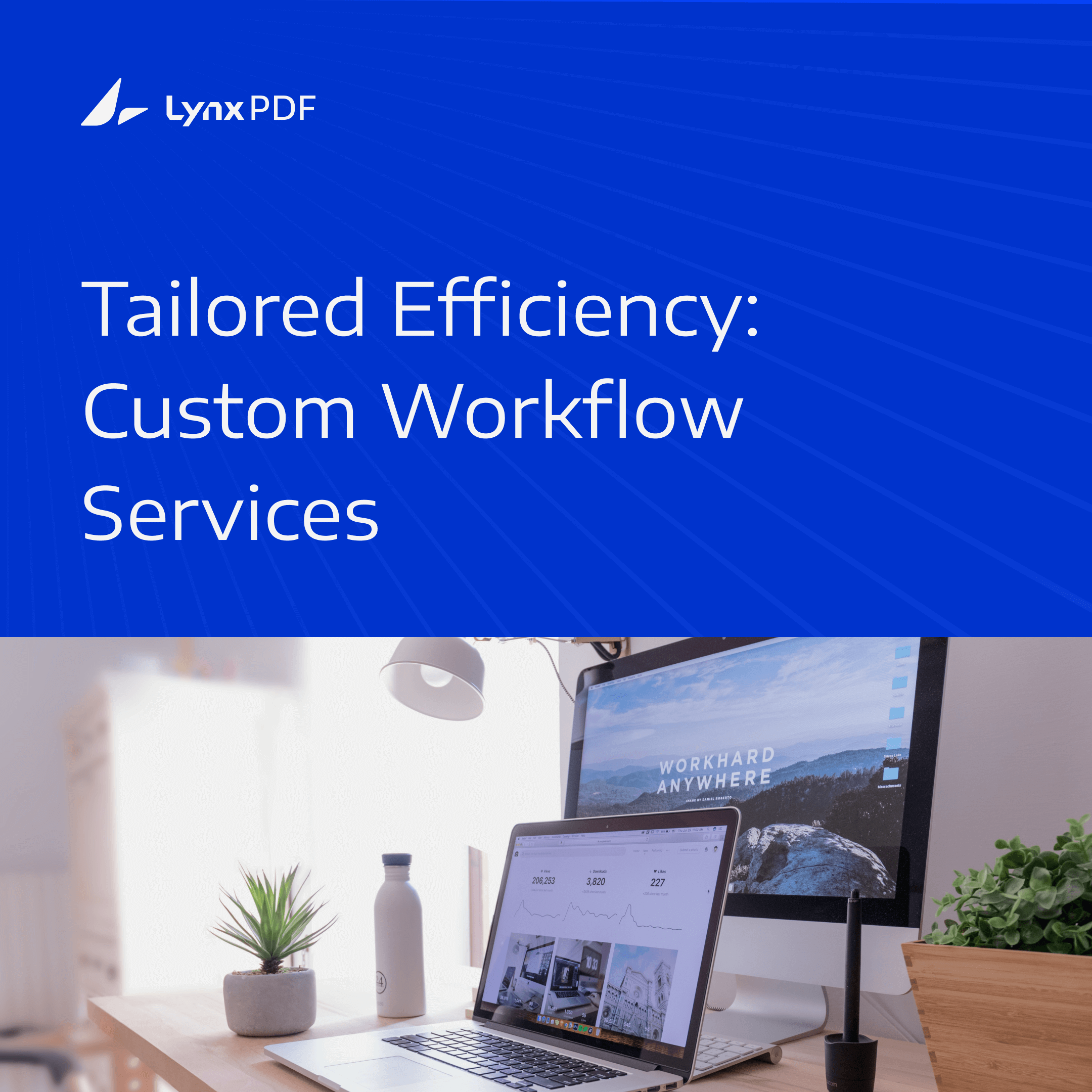 Maximize Your Workflow with LynxPDF’s Customized Services