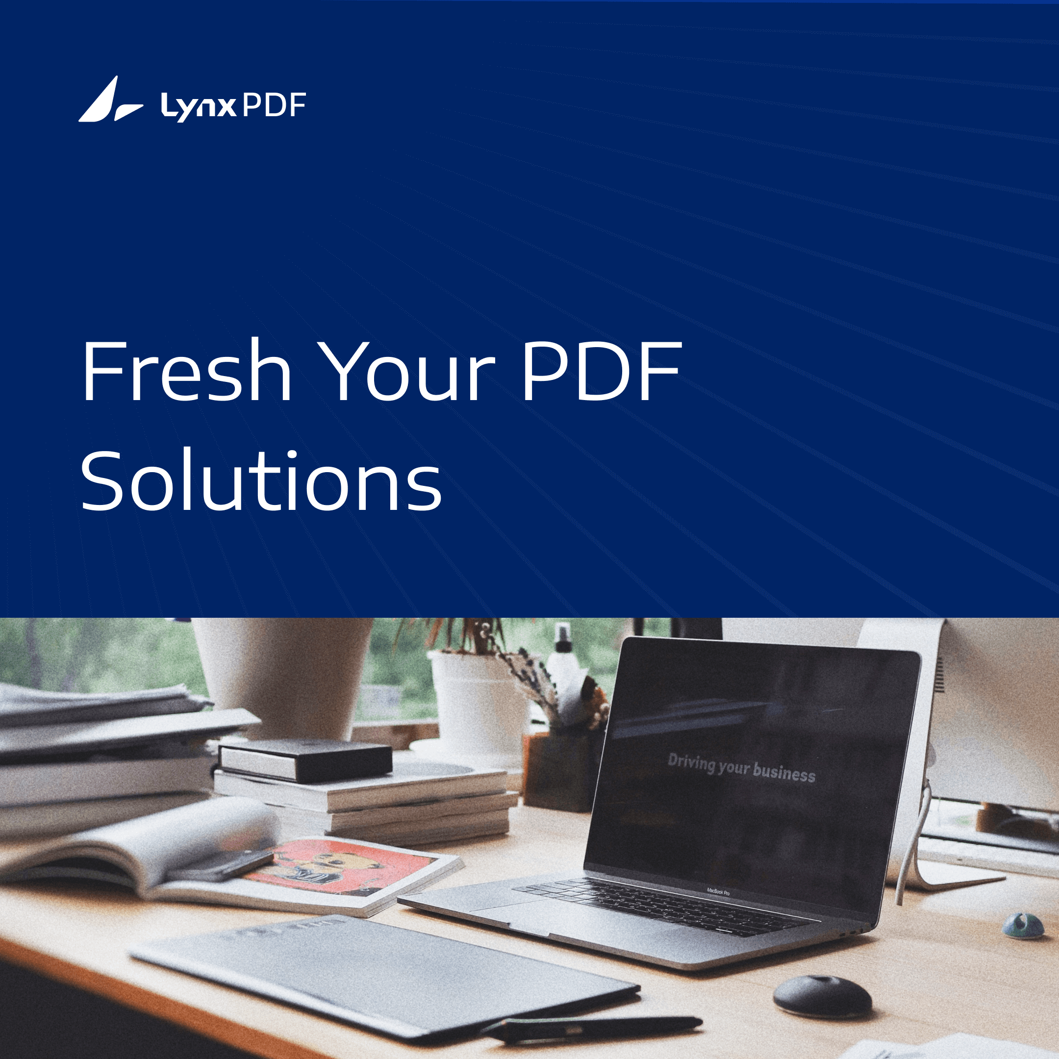 The Top 10 Best Adobe Alternatives
