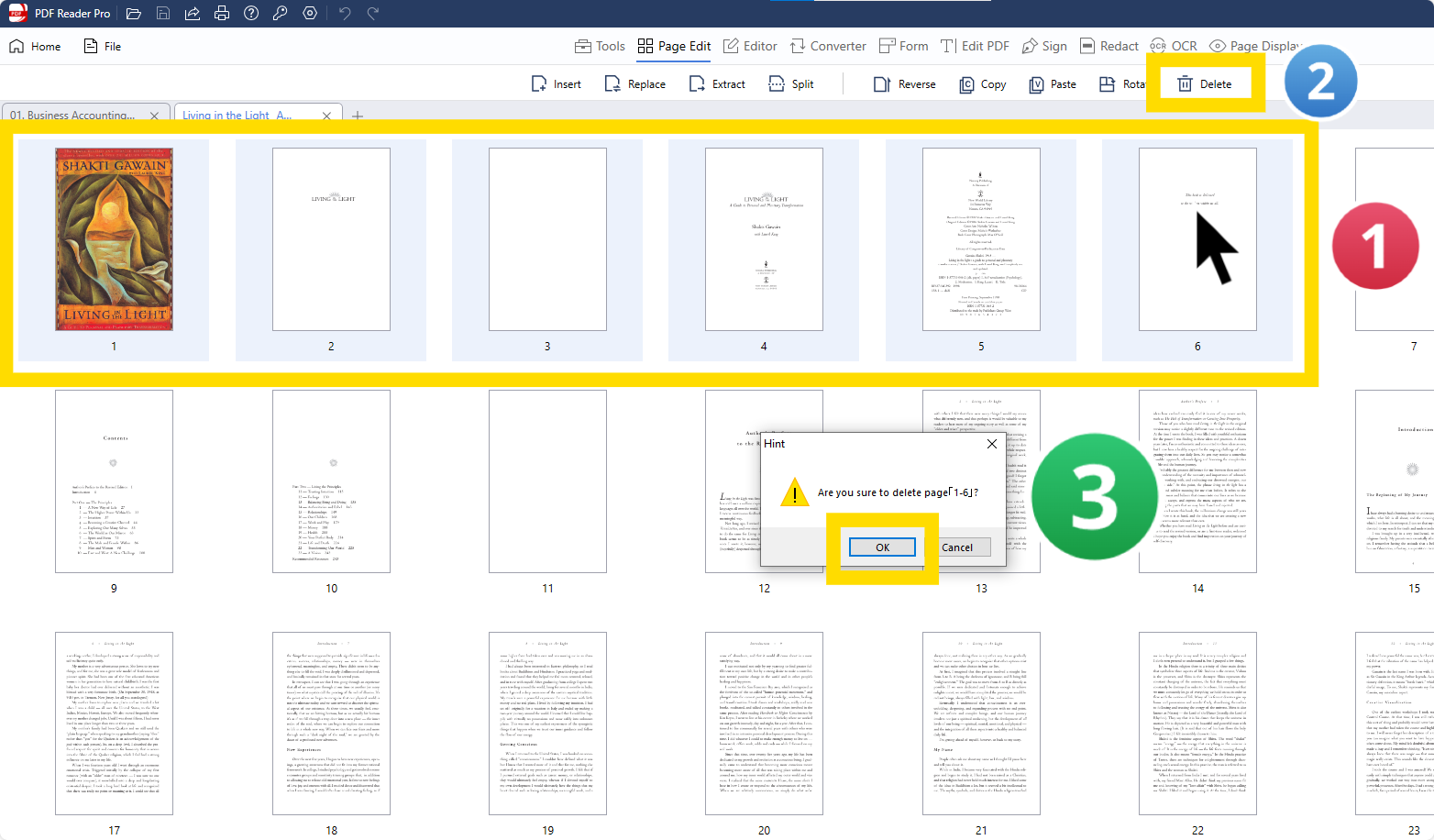 PDF Reader Pro tool showing PDF pages being deleted